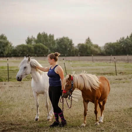 Backhaus 4 בית נופש *