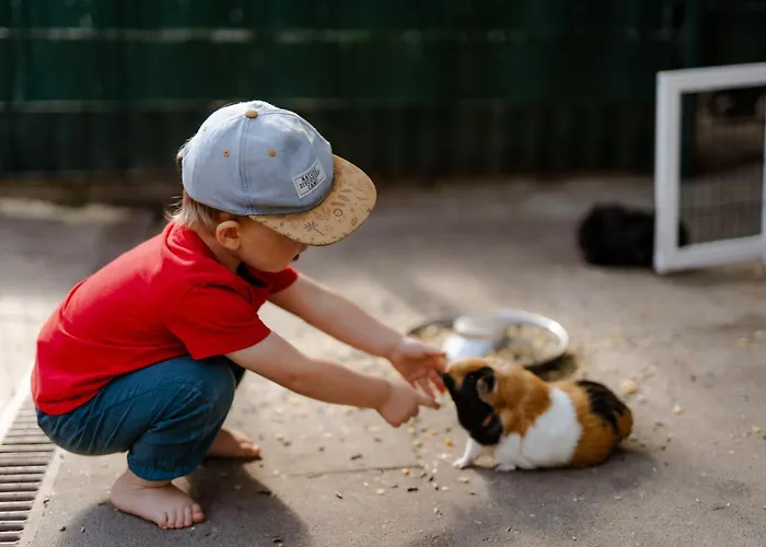 Backhaus 4 Casa de Férias *