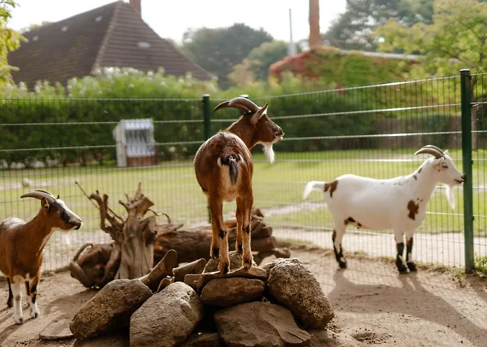 Backhaus 4 Casa de Férias