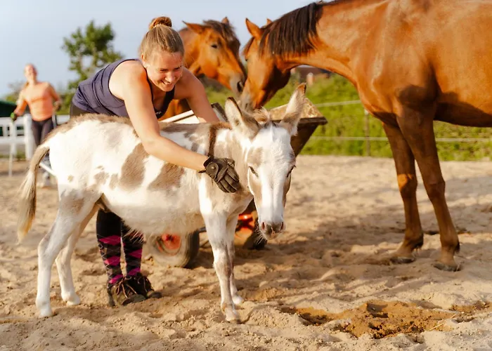 Casa de Férias Backhaus 4 Staberdorf