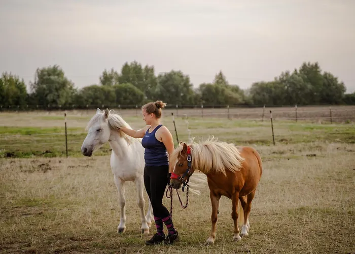 Backhaus 4 Casa de Férias *