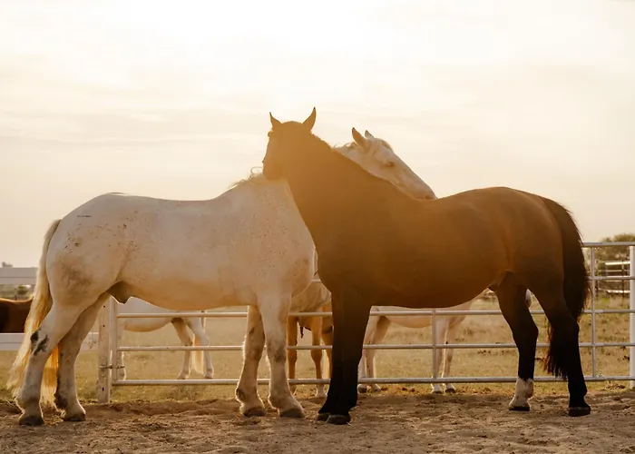 Casa de Férias Backhaus 4 Staberdorf
